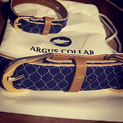 ARGUS Our stylish dog collar and matching bracelet in blue and gold, packaged in a branded dust bag.