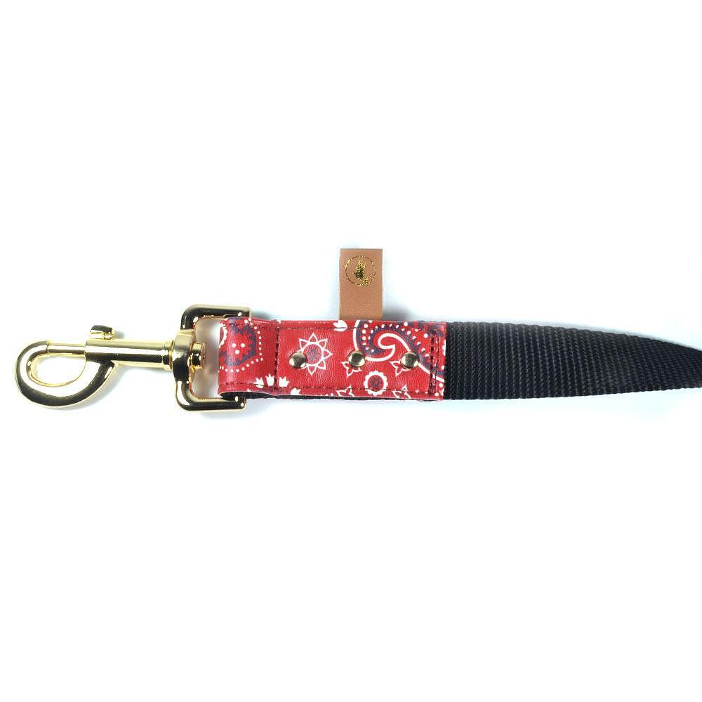 Stylish ARGUS Повод with classic bandana design and durable clip, perfect for pet walks.