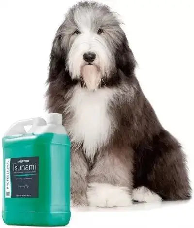 Пет-шампоан ARTERO TSUNAMI 5 литра с куче, премахва мръсотия и лоши миризми, идеален за първо измиване.