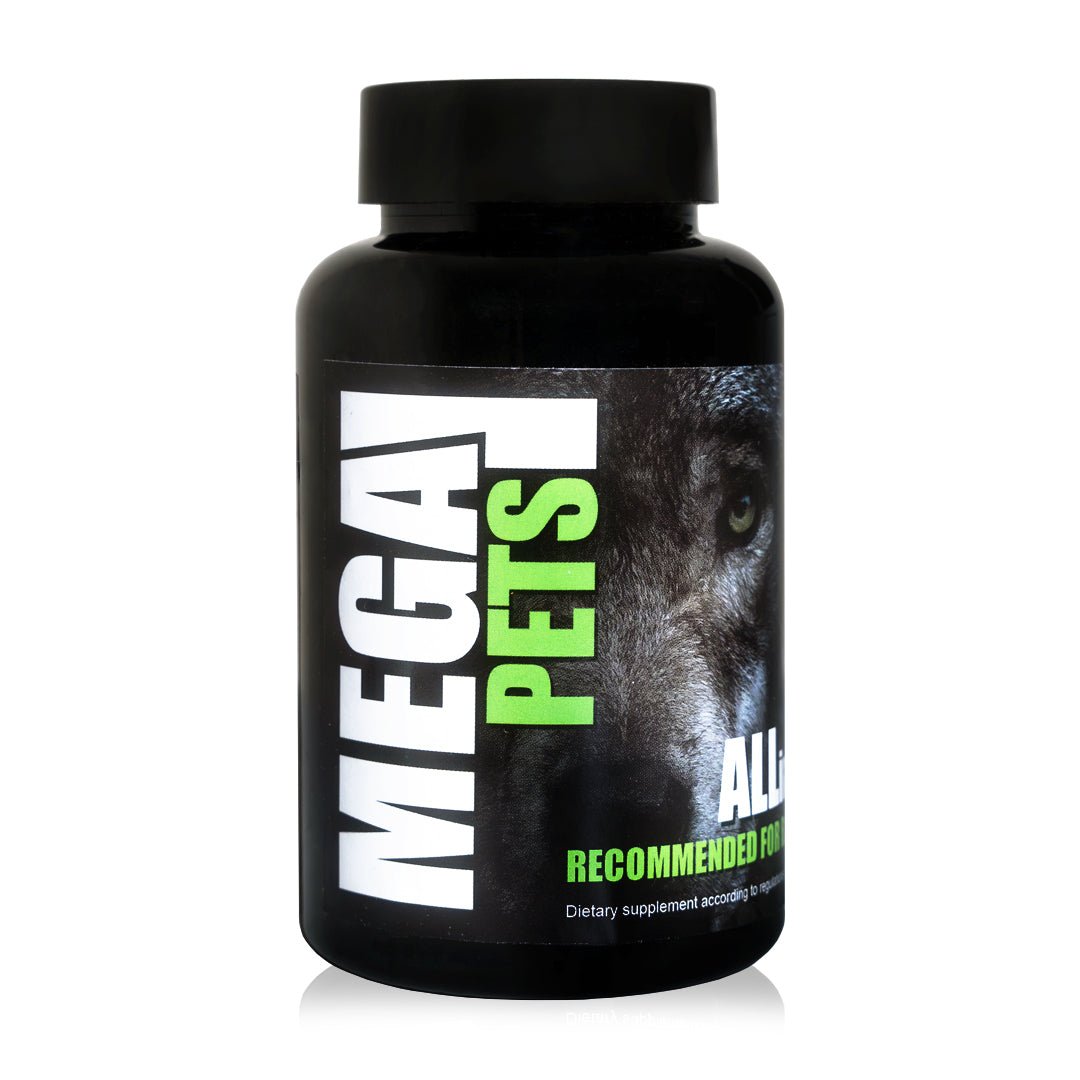 Mega Pets All in One dietary supplement bottle for pet health and wellness.